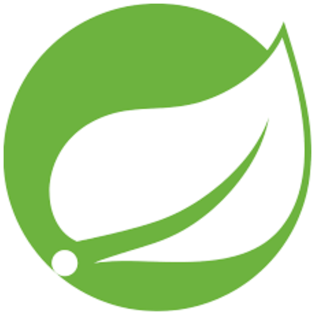 Springboot Icon